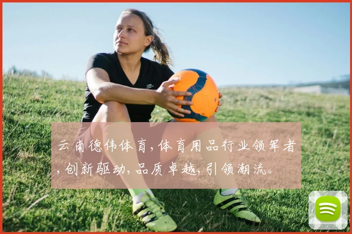 云南德伟体育,体育用品行业领军者,创新驱动,品质卓越,引领潮流。